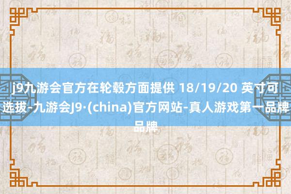 j9九游会官方在轮毂方面提供 18/19/20 英寸可选拔-九游会J9·(china)官方网站-真人游戏第一品牌