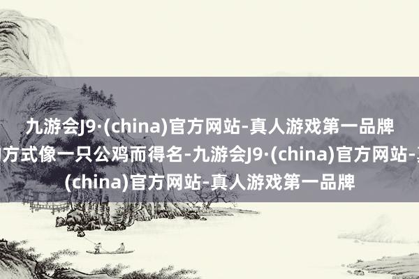 九游会J9·(china)官方网站-真人游戏第一品牌九游会J9因山体的方式像一只公鸡而得名-九游会J9·(china)官方网站-真人游戏第一品牌