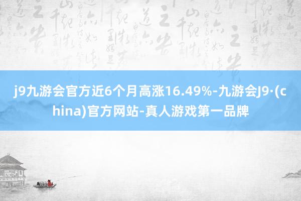 j9九游会官方近6个月高涨16.49%-九游会J9·(china)官方网站-真人游戏第一品牌
