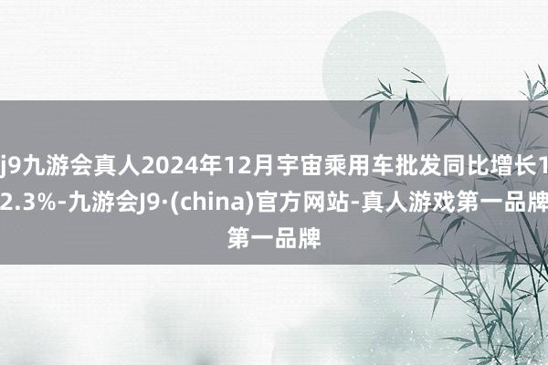 j9九游会真人2024年12月宇宙乘用车批发同比增长12.3%-九游会J9·(china)官方网站-真人游戏第一品牌