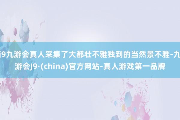 j9九游会真人采集了大都壮不雅独到的当然景不雅-九游会J9·(china)官方网站-真人游戏第一品牌