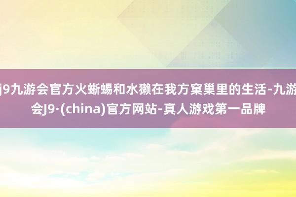 j9九游会官方火蜥蜴和水獭在我方窠巢里的生活-九游会J9·(china)官方网站-真人游戏第一品牌