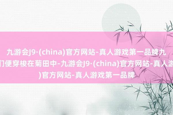 九游会J9·(china)官方网站-真人游戏第一品牌九游会J9花农们便穿梭在菊田中-九游会J9·(china)官方网站-真人游戏第一品牌