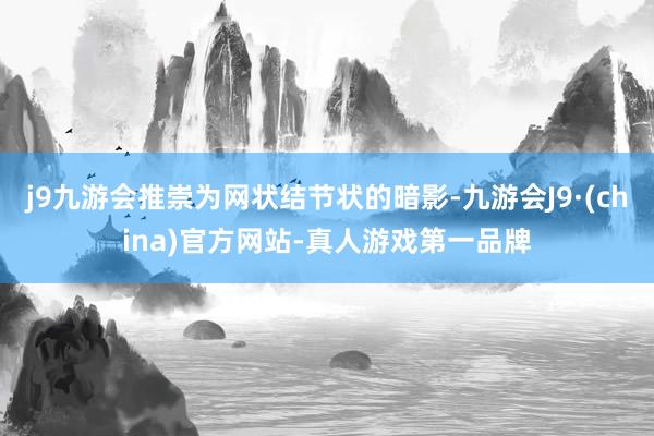 j9九游会推崇为网状结节状的暗影-九游会J9·(china)官方网站-真人游戏第一品牌