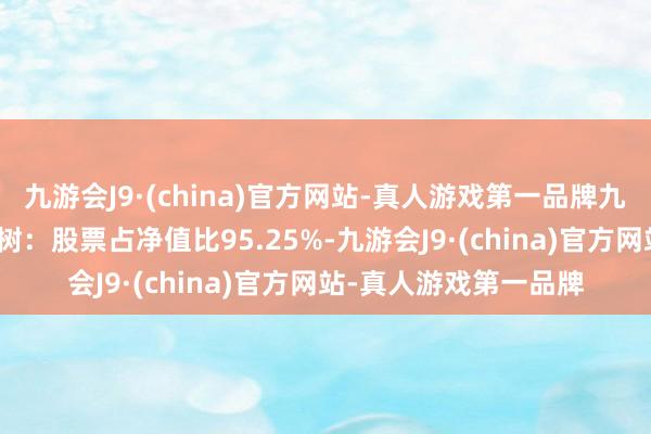 九游会J9·(china)官方网站-真人游戏第一品牌九游会J9该基金钞票建树：股票占净值比95.25%-九游会J9·(china)官方网站-真人游戏第一品牌